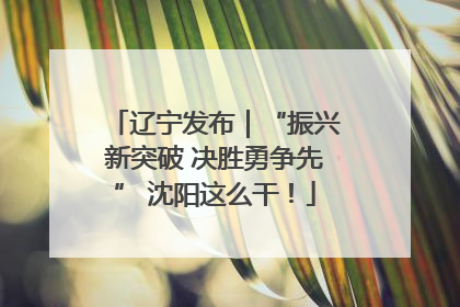 辽宁发布｜“振兴新突破 决胜勇争先” 沈阳这么干！