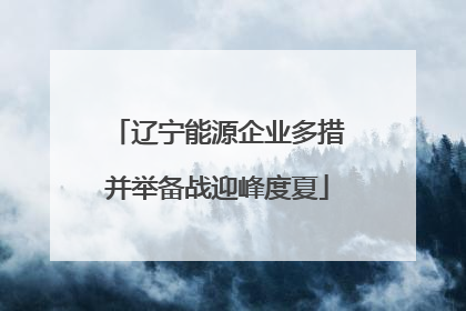 辽宁能源企业多措并举备战迎峰度夏
