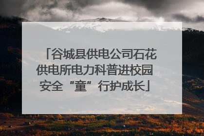 谷城县供电公司石花供电所电力科普进校园安全“童”行护成长