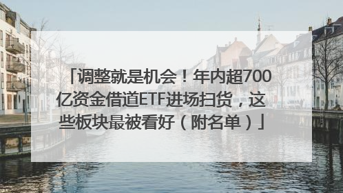 调整就是机会！年内超700亿资金借道ETF进场扫货，这些板块最被看好（附名单）