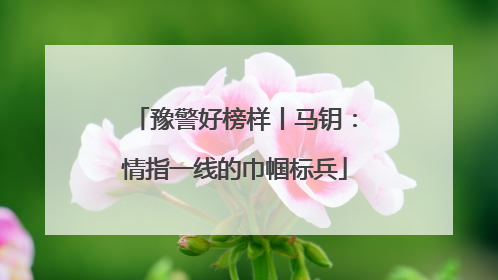 豫警好榜样丨马钥：情指一线的巾帼标兵
