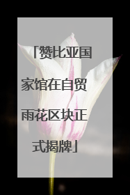 赞比亚国家馆在自贸雨花区块正式揭牌