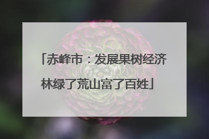 赤峰市：发展果树经济林绿了荒山富了百姓