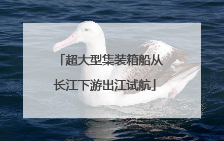 超大型集装箱船从长江下游出江试航