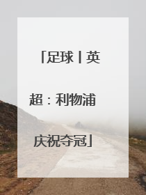 足球丨英超：利物浦庆祝夺冠