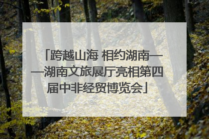 跨越山海 相约湖南——湖南文旅展厅亮相第四届中非经贸博览会