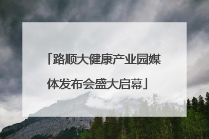 路顺大健康产业园媒体发布会盛大启幕