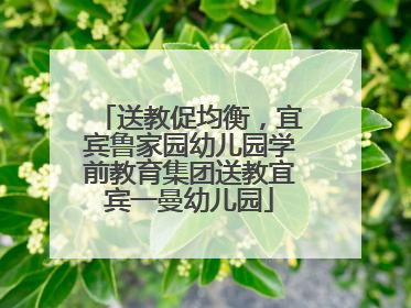 送教促均衡，宜宾鲁家园幼儿园学前教育集团送教宜宾一曼幼儿园