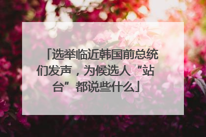 选举临近韩国前总统们发声，为候选人“站台”都说些什么