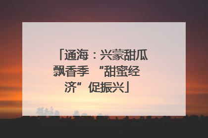 通海：兴蒙甜瓜飘香季 “甜蜜经济”促振兴