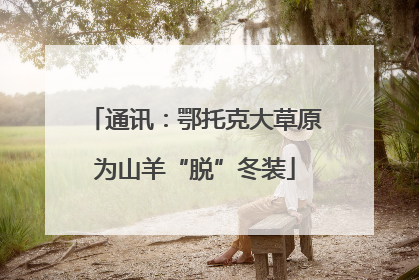 通讯：鄂托克大草原为山羊“脱”冬装