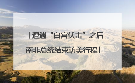遭遇“白宫伏击”之后 南非总统结束访美行程