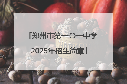 郑州市第一〇一中学2025年招生简章