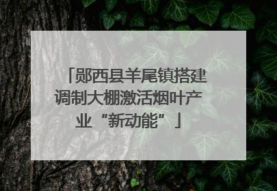 郧西县羊尾镇搭建调制大棚激活烟叶产业“新动能”
