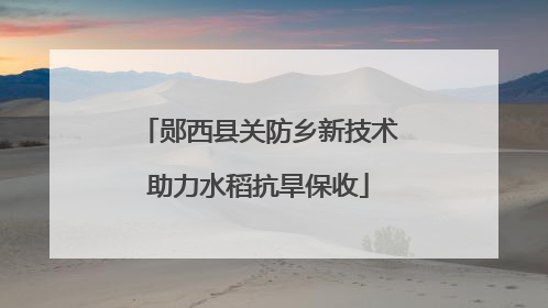 郧西县关防乡新技术助力水稻抗旱保收