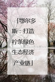 鄂尔多斯：打造柠条绿色生态经济产业链