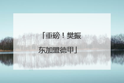 重磅！樊振东加盟德甲
