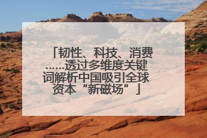 韧性、科技、消费……透过多维度关键词解析中国吸引全球资本“新磁场”