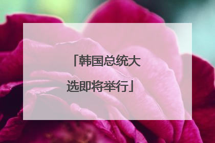 韩国总统大选即将举行