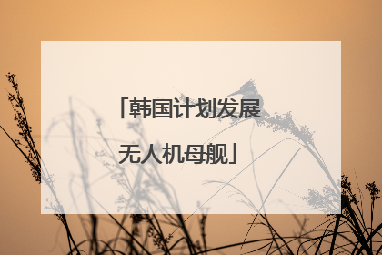 韩国计划发展无人机母舰