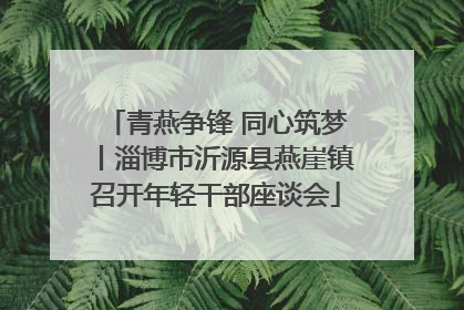 青燕争锋 同心筑梦丨淄博市沂源县燕崖镇召开年轻干部座谈会