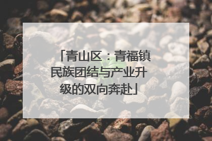 青山区：青福镇民族团结与产业升级的双向奔赴