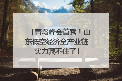 青岛峰会首秀！山东低空经济全产业链实力藏不住了