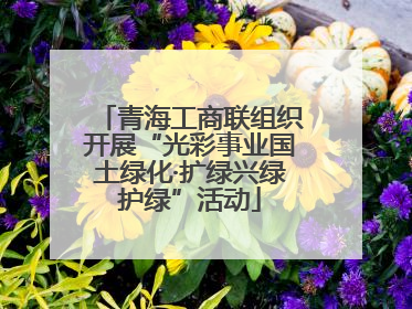 青海工商联组织开展“光彩事业国土绿化·扩绿兴绿护绿”活动