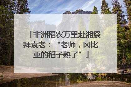 非洲稻农万里赴湘祭拜袁老：“老师，冈比亚的稻子熟了”