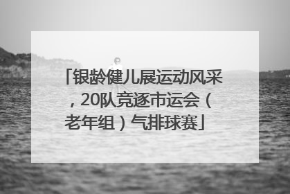 银龄健儿展运动风采，20队竞逐市运会（老年组）气排球赛