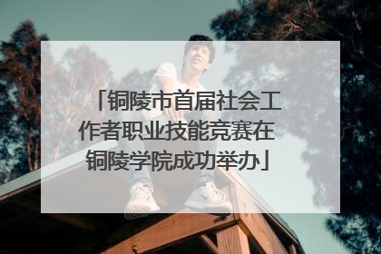 铜陵市首届社会工作者职业技能竞赛在铜陵学院成功举办