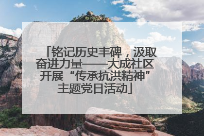 铭记历史丰碑，汲取奋进力量——大成社区开展“传承抗洪精神”主题党日活动