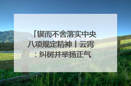 锲而不舍落实中央八项规定精神丨云霄：纠树并举扬正气 作风建设谱新章
