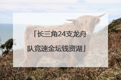 长三角24支龙舟队竞速金坛钱资湖