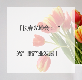 长春光博会：“光”照产业发展