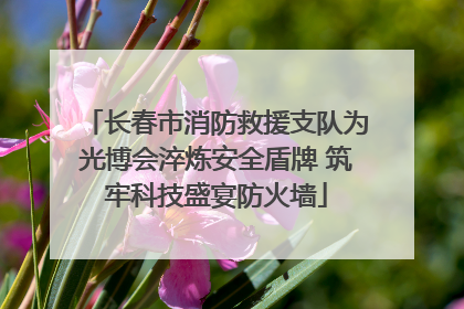 长春市消防救援支队为光博会淬炼安全盾牌 筑牢科技盛宴防火墙