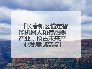 长春新区锚定智能机器人和传感器产业，抢占未来产业发展制高点
