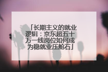 长期主义的就业逻辑：京东超五十万一线岗位如何成为稳就业压舱石