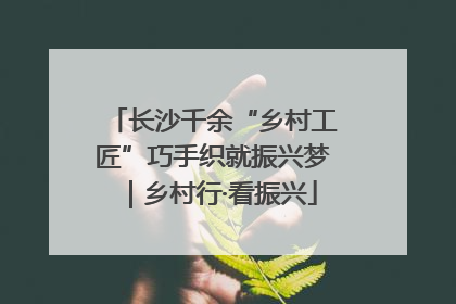 长沙千余“乡村工匠”巧手织就振兴梦｜乡村行·看振兴