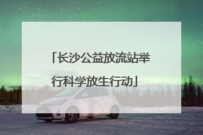 长沙公益放流站举行科学放生行动