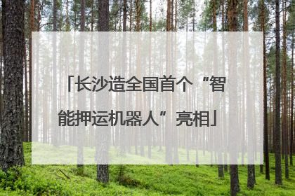 长沙造全国首个“智能押运机器人”亮相