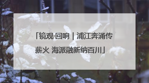镜观·回响｜浦江奔涌传薪火 海派融新纳百川