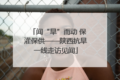 闻“旱”而动 保灌保供——陕西抗旱一线走访见闻