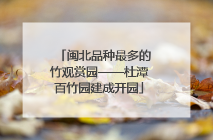 闽北品种最多的竹观赏园——杜潭百竹园建成开园