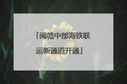 闽赣中部海铁联运新通道开通