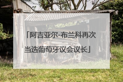 阿吉亚尔-布兰科再次当选葡萄牙议会议长