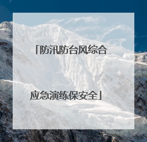 防汛防台风综合应急演练保安全
