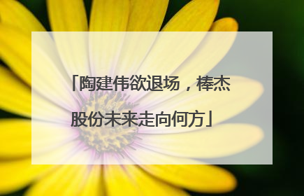 陶建伟欲退场，棒杰股份未来走向何方