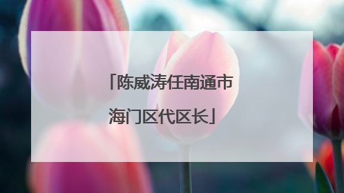 陈威涛任南通市海门区代区长