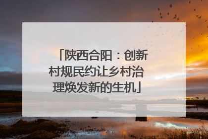 陕西合阳：创新村规民约让乡村治理焕发新的生机